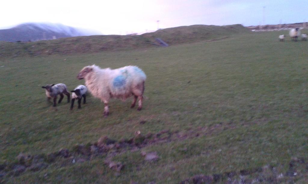 Bed and Breakfast Achill West Coast House Dooagh Exterior foto