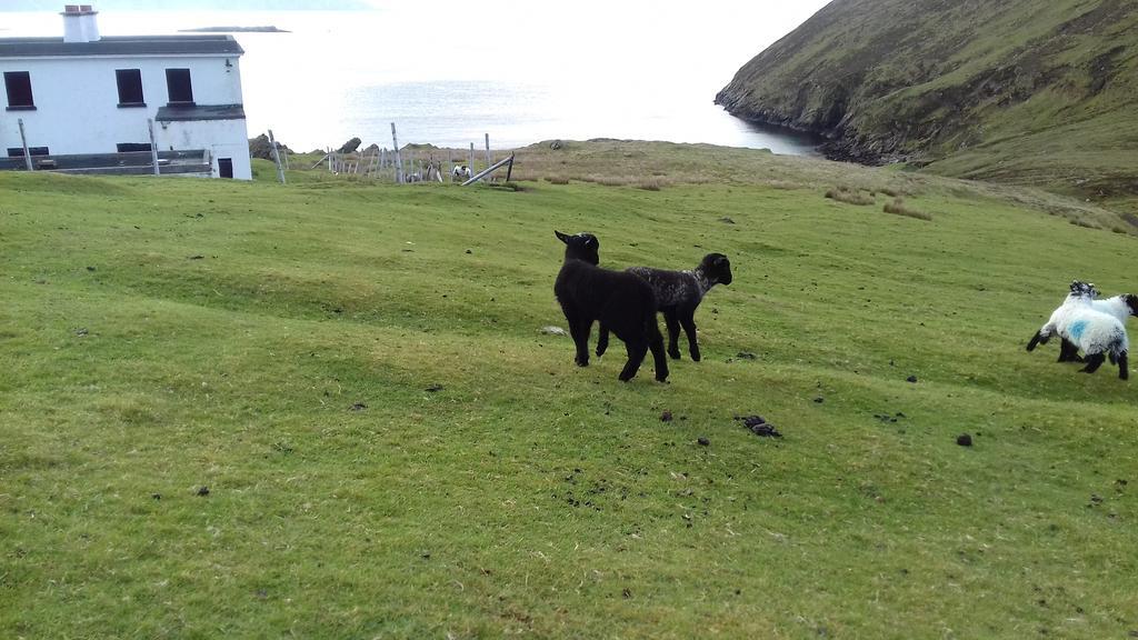 Bed and Breakfast Achill West Coast House Dooagh Exterior foto